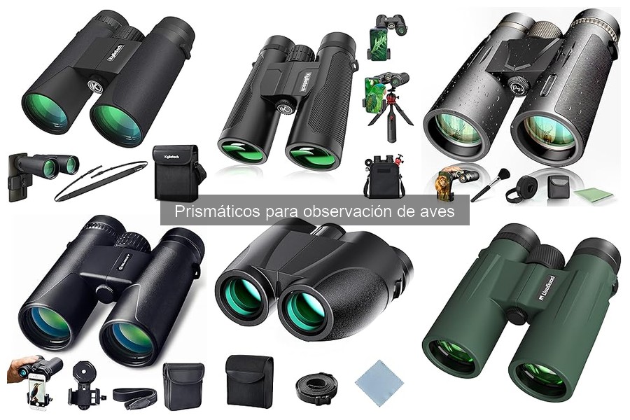 Accesorios imprescindibles para prismáticos en observación de aves