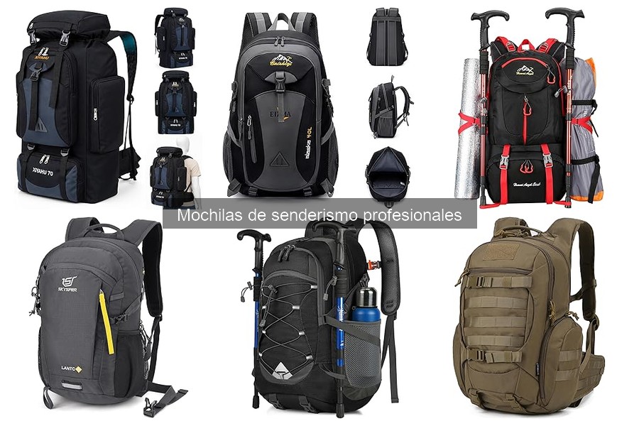 Alternativas a Mochilas de Senderismo para Un Día de Campo