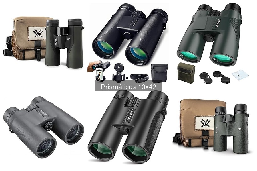 Alternativas a prismáticos 10x42 para actividades outdoor