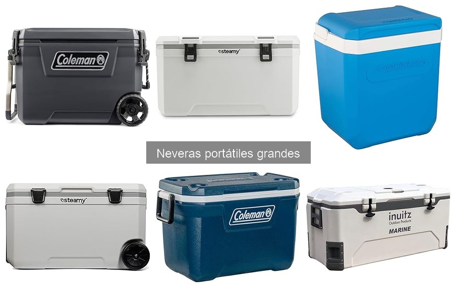 Cómo elegir la mejor nevera portátil grande | Guía de compra