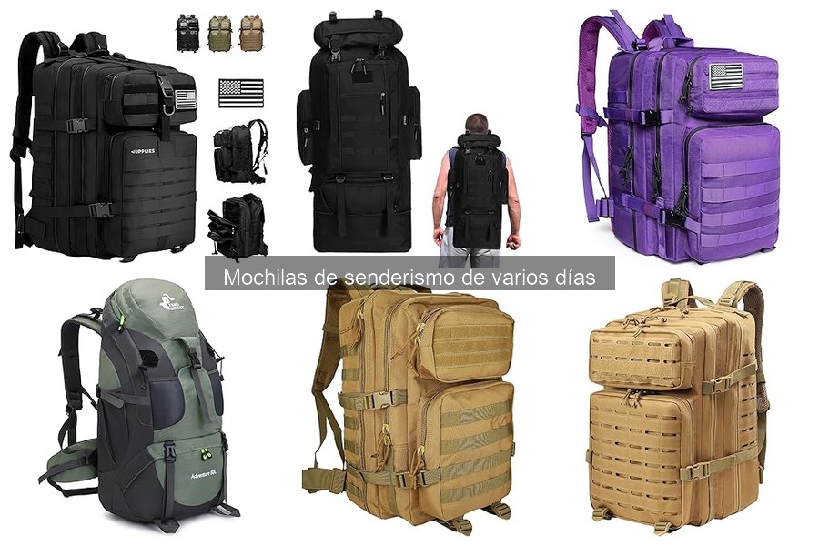 Cómo elegir la mochila de senderismo perfecta para ti