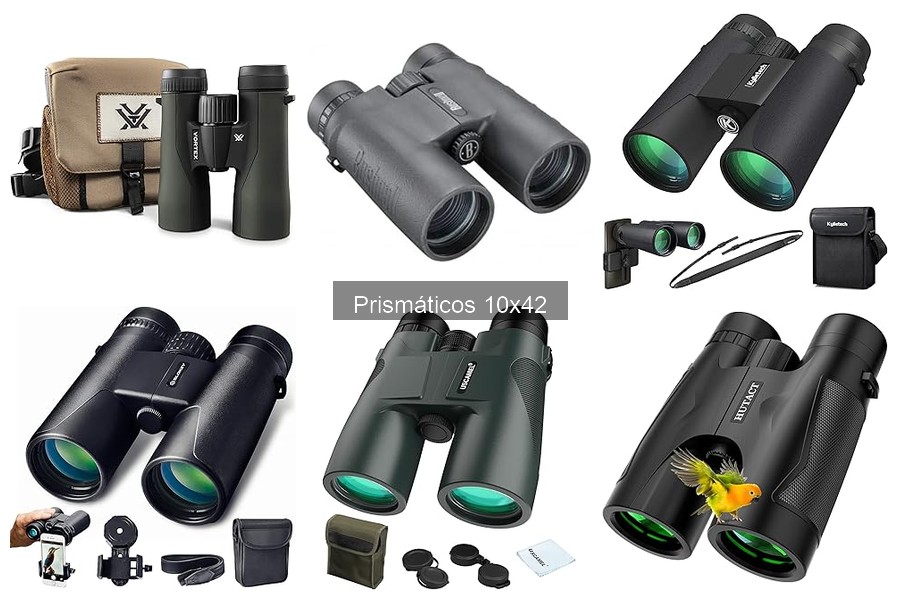 Cómo usar prismáticos 10x42 para una observación óptima