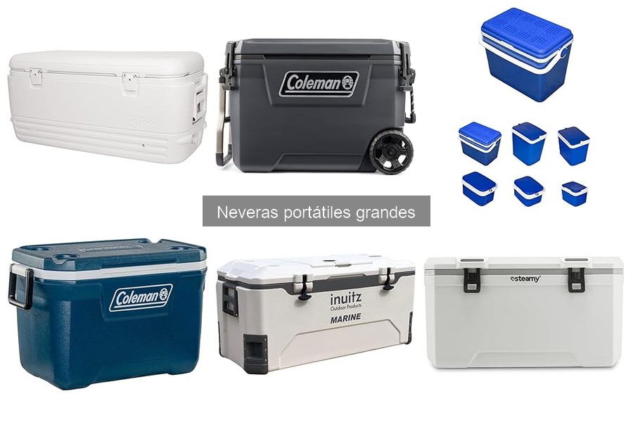 Dónde comprar neveras portátiles grandes al mejor precio