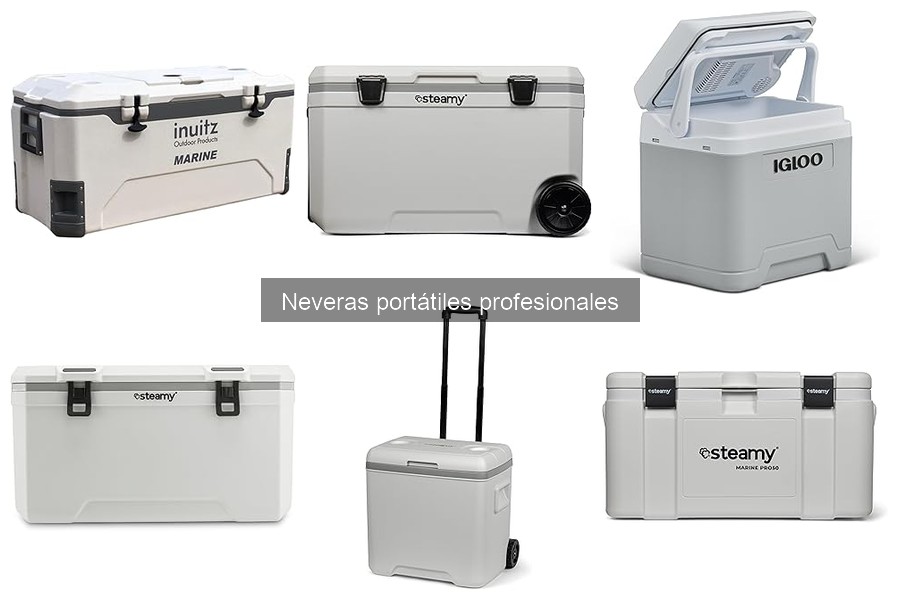 Mantén tus neveras portátiles profesionales en perfecto estado