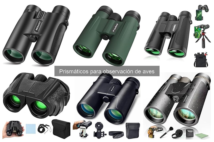 Prismáticos para Observación de Aves: ¿Qué Son y Sus Beneficios?