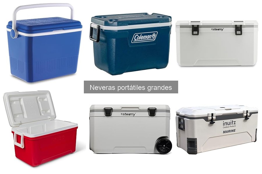 Problemas comunes de neveras portátiles grandes y soluciones