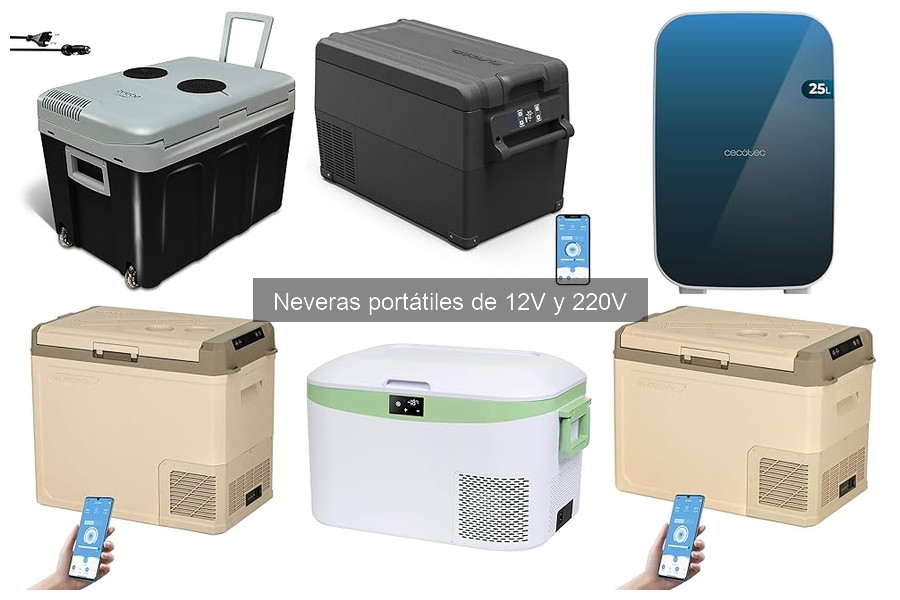 Reseñas de usuarios sobre neveras portátiles de 12V y 220V