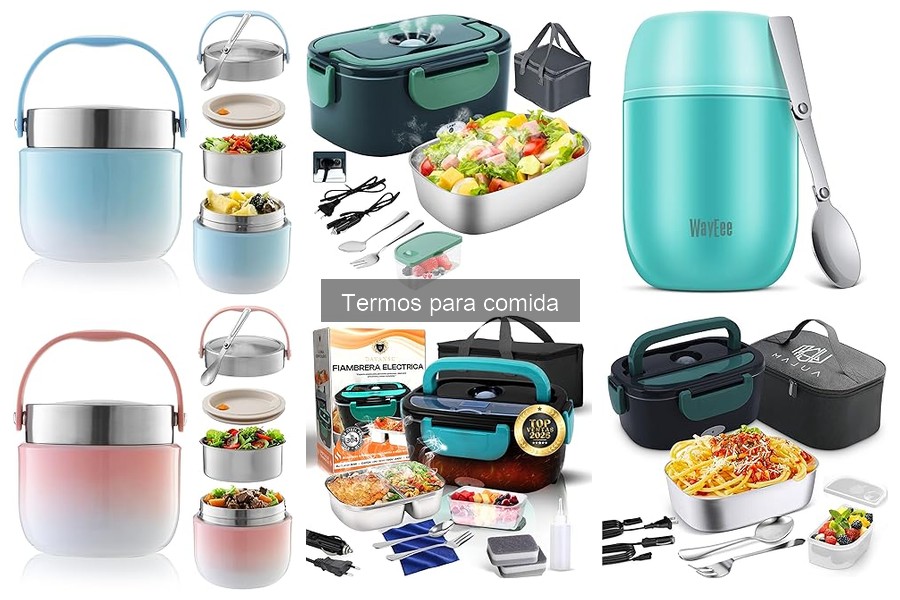 Tipos de Termos para Comida: Guía Completa de Opciones