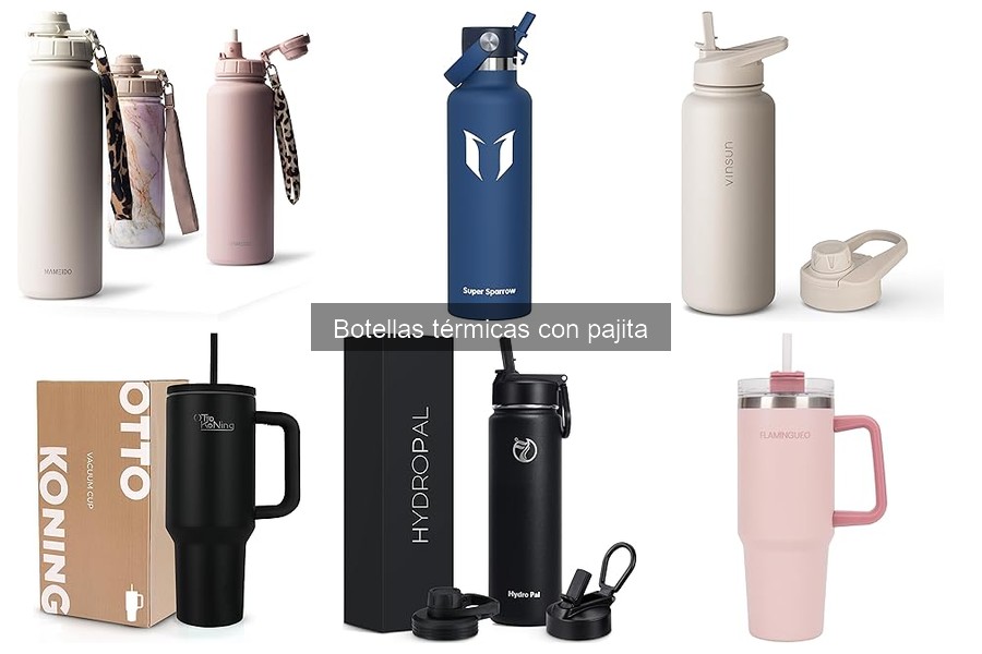 Ventajas y Desventajas de Botellas Térmicas con Pajita